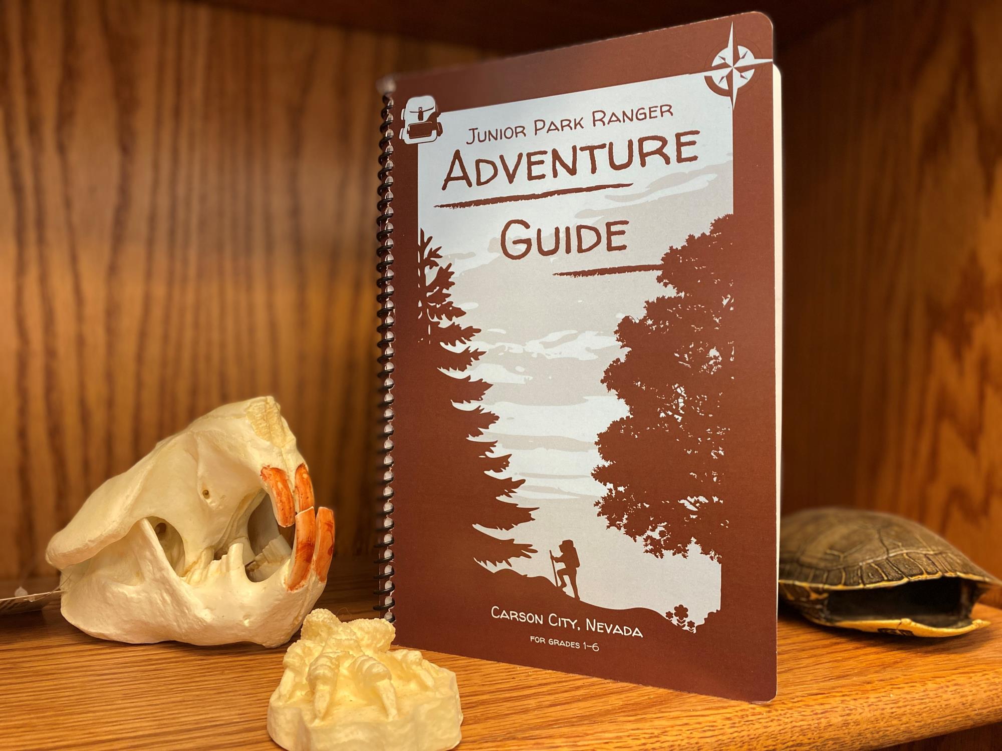 Photo of Adventure Guide with Beaver Skull, Western Pond Turtle Shell, and Beaver footprint