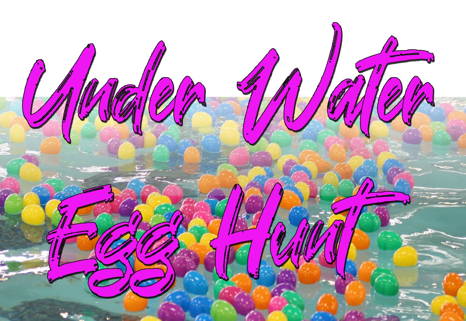 Egg Hunt Website Cover