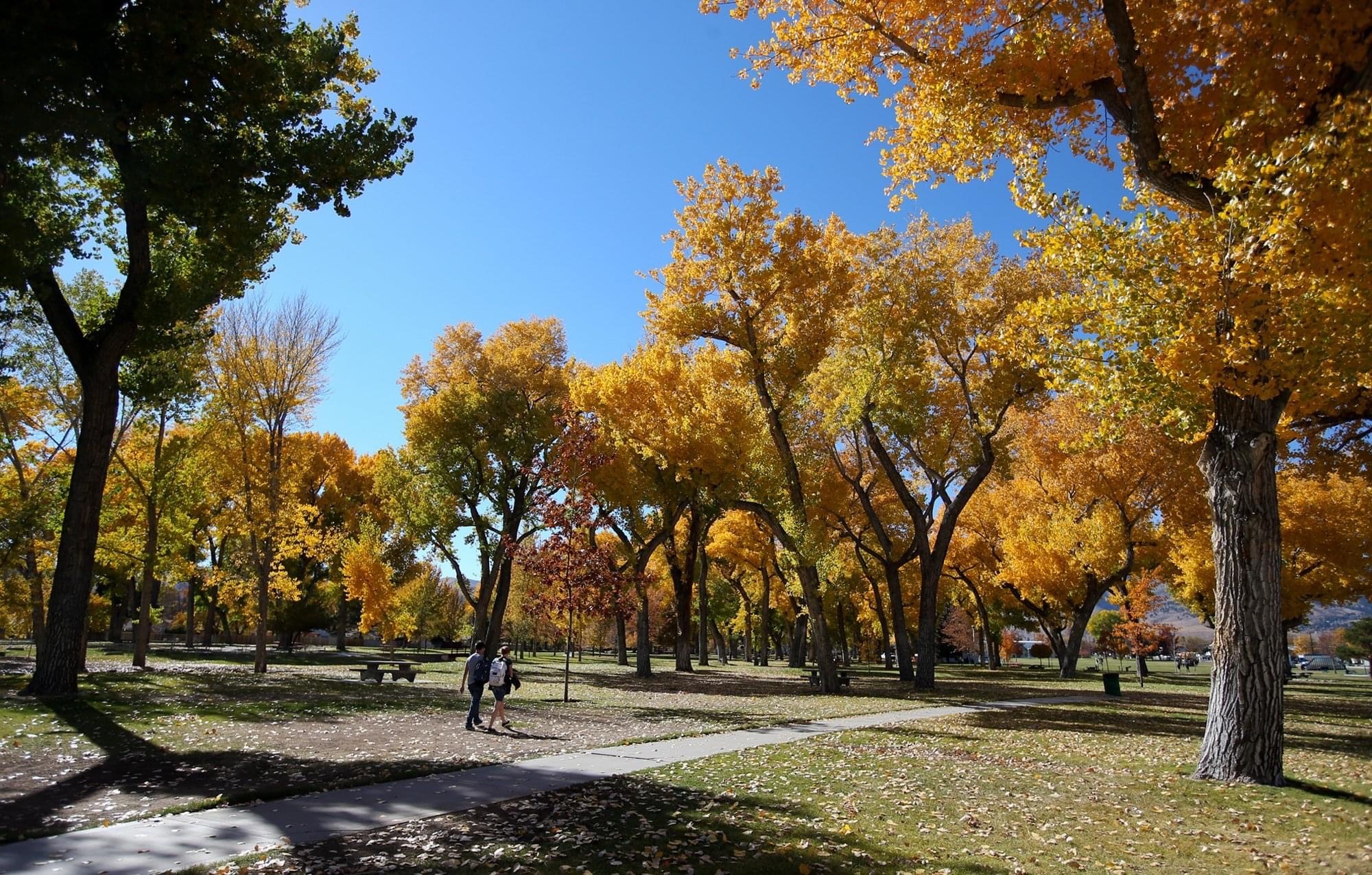 Mills Park Autumn