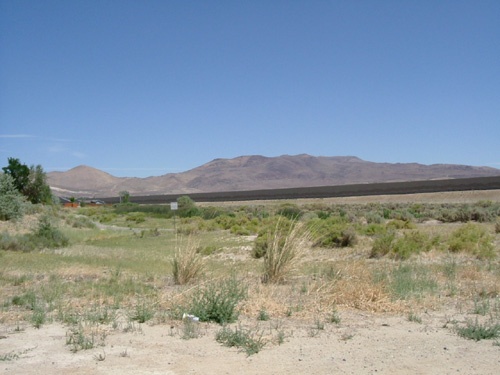 Fulstone Wetlands #1