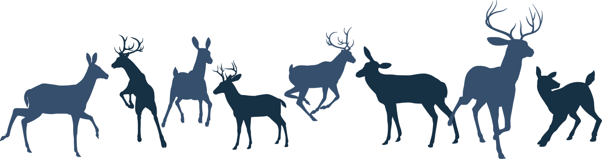 deer website banner