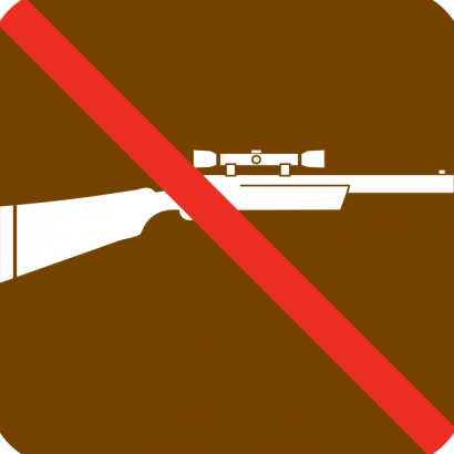 No Firearms