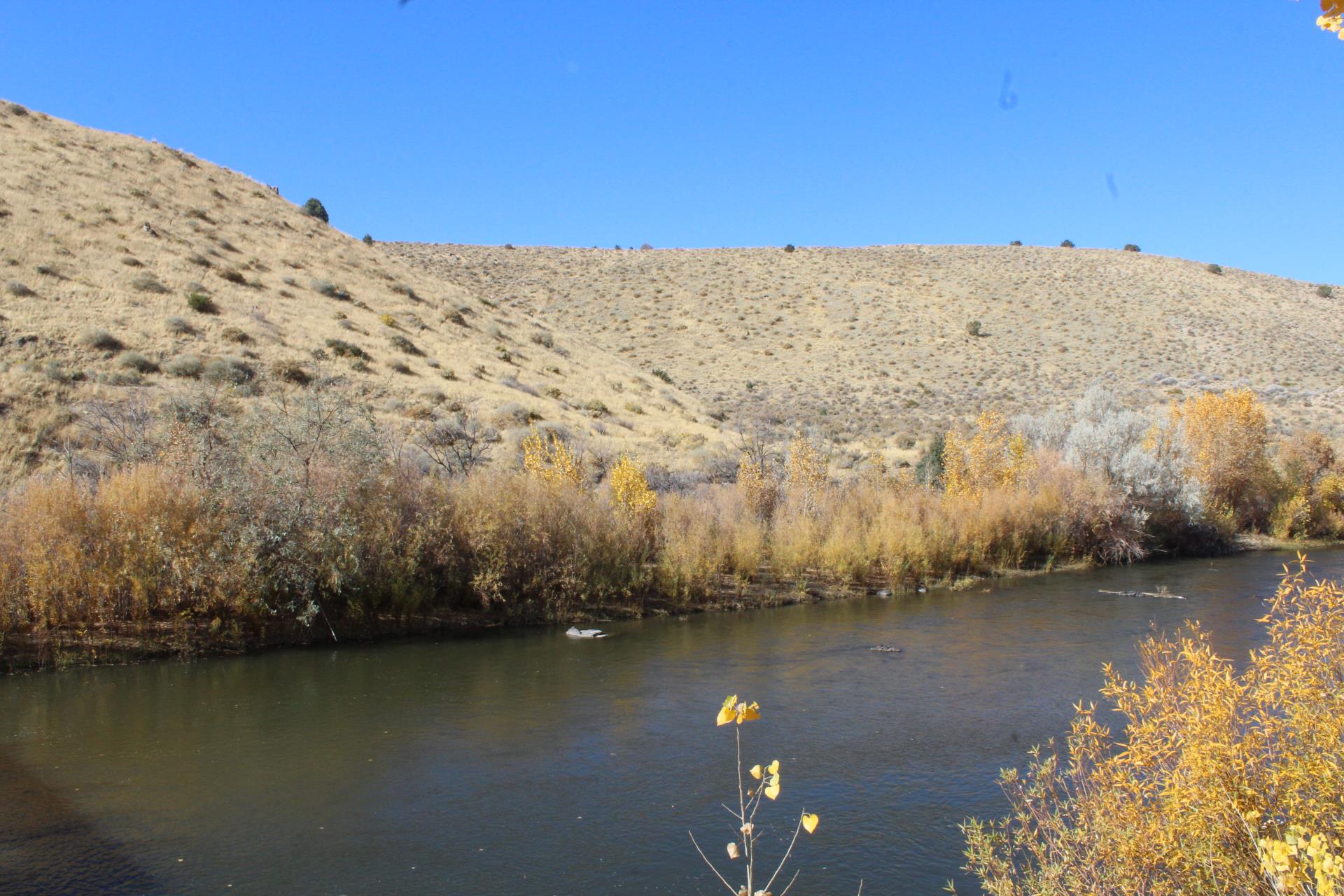 Carson River Canyon | Carson City