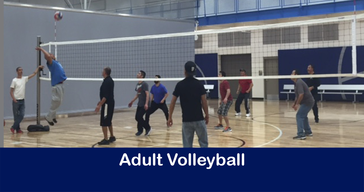 AdultVolleyball