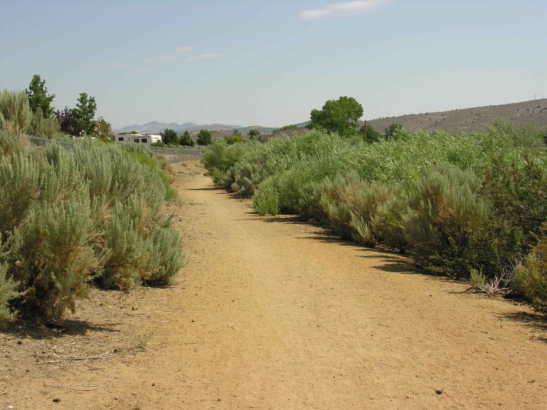 Mexican Ditch Trail